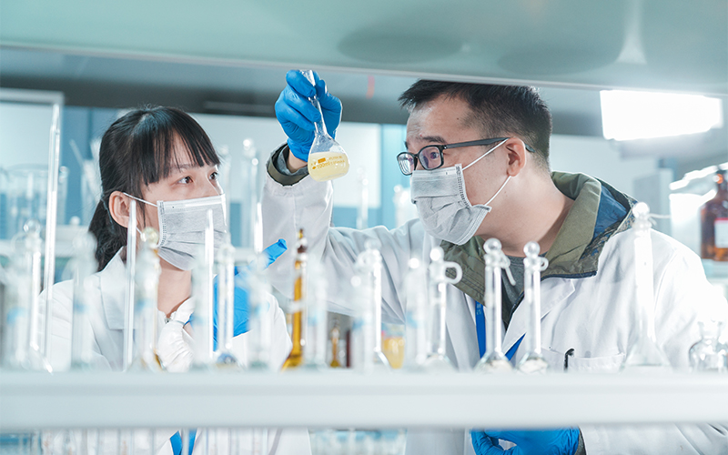 專(zhuān)家團(tuán)隊(duì)